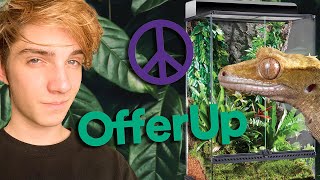 BEST place to Get Your First CRESTED GECKO amp Friends first gecko Adventure [upl. by Ellenid]