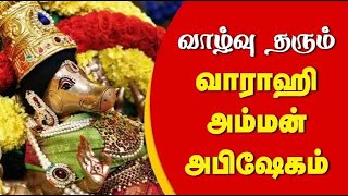 வாழ்வு தரும் வாராஹி அம்மன் அபிஷேகம்  Varahi Amman amman abhishekam gembhakthitv [upl. by Borszcz]