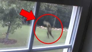 5 Mysterious Creatures Caught on Tape  Top 5 STRANGE Creatures [upl. by Suriaj]