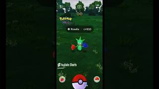 I Caught Roselia Pokemon GO Indonesia Shorts Roselia PokemonGOGameplay [upl. by Mossolb]