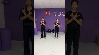 Bhool Bhulaiyaa youtubeshorts trending SDC star Academy [upl. by Schaumberger]