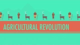 The Agricultural Revolution Crash Course World History 1 [upl. by Serilda]