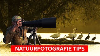 NATUURFOTOGRAFIE inzoomen of uitzoomen  Natuurfotografie  Zoomnl [upl. by Shiekh]