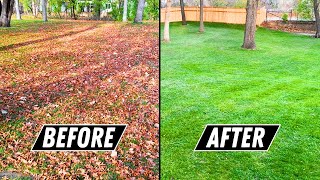 How to Beat LEAVES in the Fall Leaf Cleanup on HUGE Yard Made EASY [upl. by Noivart]