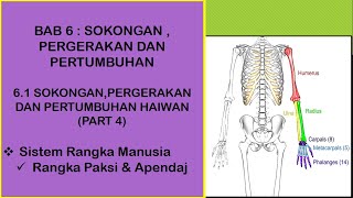 Sains Tingkatan 4 KSSM I BAB 6 I SISTEM RANGKA MANUSIA [upl. by Adnohsar]