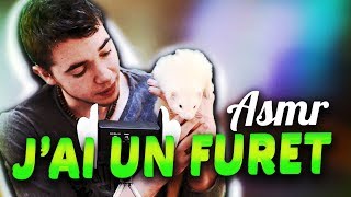 🐭 ASMR Français  Jai un Furet  Karma 🐭 [upl. by Deni56]