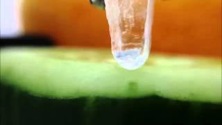 hygroscopic salt demonstration [upl. by Koeninger]