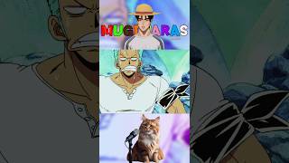 Zoro es un malagradecido 🥲 onepiece anime zoro [upl. by Annala750]