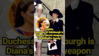 Sophie Duchess of Edinburgh is Dianas secret weapon for Williams family celebrity Sophie [upl. by Nitsud]