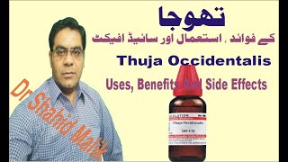 ThujaThuja Occidentalisتھوجا Uses Side Effect And Dosage In Homoeopathy [upl. by Zebedee487]