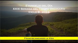 Evangelio Sábado Semana XXIX TO 2024 [upl. by Blinny]