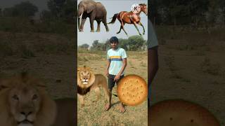 Biscuit ke andar sa nikala 🐘 🐎 🦁🐅 trendingshorts youtubeshorts funny foryou youtubevideos [upl. by Charbonnier900]