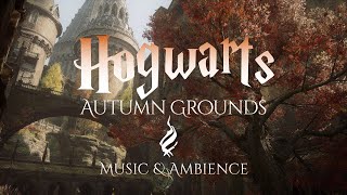 Fall Grounds at Hogwarts  Harry Potter Music and Ambience from Hogwarts Legacy [upl. by Scottie]