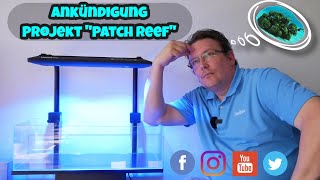 📢Ankündigung Projekt quotPatch Reefquot  ⭐Meerwasser Aquarium Bauen⭐ [upl. by Artek]