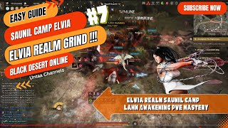 1 Hour grind Elvia Realm Saunil Camp Lahn Awakening PvE Mastery  Black Desert Online [upl. by Corvin752]