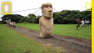 Scientists Make Easter Island Statue Walk  National Geographic [upl. by Bloch535]