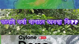 dana cyclone ei barshar sundor bagan o poribash ei obostha ডানা সাইক্লোনে বর্ষার সুন্দর বাগান। [upl. by Lozar]