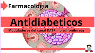 Farmacología Antidiabéticos Meglitinidas No sulfonilureas  Farmacos Moduladores del canal de KATP💊 [upl. by Olive]