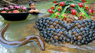 survival in the rainforest  Found Eel and Snail at river  Cooking Eel and snail For dog HD [upl. by Idola]