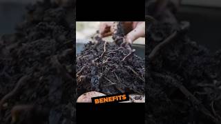 Composting Hoax or Hope renewableenergy foodtechnology [upl. by Laing461]