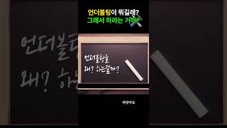 초보도 할수 있는 그래픽 카드 언더볼팅 가이드 [upl. by Tnomyar]