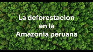 La deforestación en la amazonia peruana [upl. by Seta61]