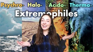 Extremophiles Organisms That Live in Extremely Cold Hot Acidic or Salty Environments  GEO GIRL [upl. by Berrie253]