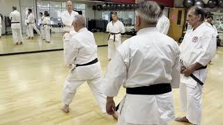 Sensei John Leggett  Some ideas on posture [upl. by Sherourd]