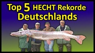 Top 5 Rekord HECHTE Deutschlands  146 Meter Hecht [upl. by Strickman]