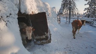 Yakutia Maldzhagar ENG SUB [upl. by Markowitz]