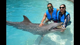 Swim with Dolphins in Cancun 2024 [upl. by Ahcilef286]