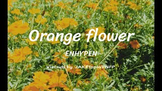 VIETSUB ORANGE FLOWER ENHYPEN [upl. by Nylrehc111]