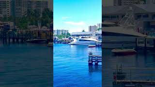 Pompano beach Fl [upl. by Niowtna198]