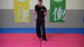 KICKBOXING YELLOW BELT  The Front Kickwmv [upl. by Ahsiekal]