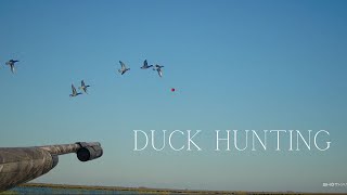 Duck hunting Texas public land mad island WMA [upl. by Enna]