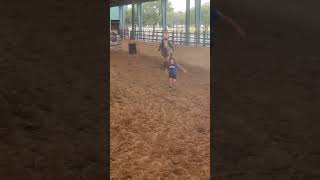 Playful horse is chasing his kids around the arena [upl. by Elysha565]