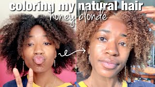 dying my natural hair at home  no damagebreakage  creme of nature hair dye [upl. by Demitria]