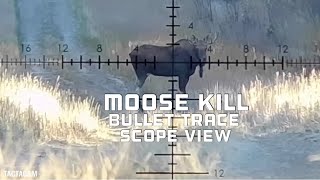 65 PRC 300 yard Moose Kill Shot With Bullet trace and TACTACAM Scope View [upl. by Gnen217]