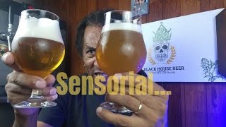 Como desenvolver o paladar cervejeiro sensorial [upl. by Pompea]