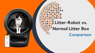 Litter Robot comparison Litter Robot vs normal litter box [upl. by Nairehs961]