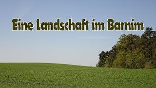 Eine Landschaft im Barnim [upl. by Reni344]