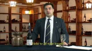 Valpolicella Classico Superiore Ripasso DOC 2009 Antolini  Videodegustazione Online wine tasting [upl. by Amikat475]