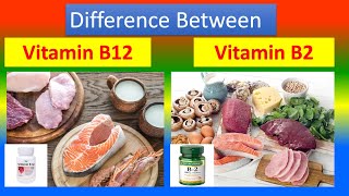 Difference Between Vitamin B12Cobalamin and Vitamin B2Riboflavin [upl. by Dijam]