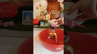 Soma deba blog youtube shorts Tending viral Laddu gopal [upl. by Utica644]