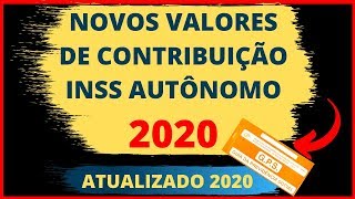 NOVOS VALORES DE CONTRIBUIÇÃO INSS 2020  AUTÔNOMO I FACULTATIVO I BAIXA RENDA I CONTR INDIVIDUAL [upl. by Drofnats]