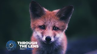 Through The Lens  S04E01  kpunkka [upl. by Eednar560]