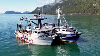 Intro to Commercial Fishing in Alaska [upl. by Nezam697]