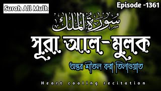 সূরা আল মুলক  Surah Mulk  Daily Quran Tilawat  quran recitation  Episode 1361  Fauebd8 [upl. by Kilah663]