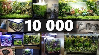 AQUARIUMS TOUR 2019 SPECIAL 10 000 abonnés Aquariophilie by Aquazen [upl. by Onaivatco419]