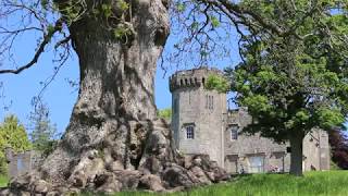 Over a century go the people made history in Balloch Loch Lomond [upl. by Naujyt]